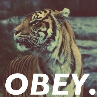 pollstar101's profile picture. 