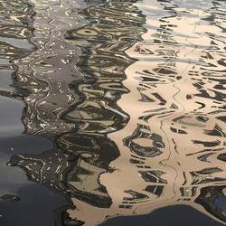 webspider6_'s profile picture. 