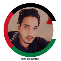 Wajid Ali (@wajidansari313) 's Twitter Profile