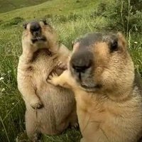 Austine Wallace πβ¦οΈ π (@austinewallace) 's Twitter Profile
