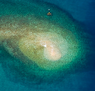 bebasvemir's profile picture. 