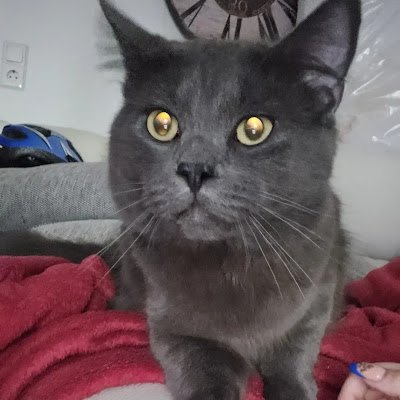 jocimariechen's profile picture. 