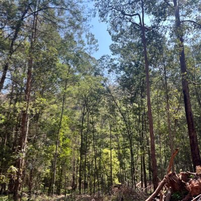 JayminS37956644's profile picture. 