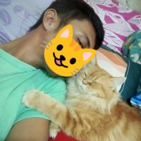 J1ngga_senja (@j1ngga_senja) 's Twitter Profile