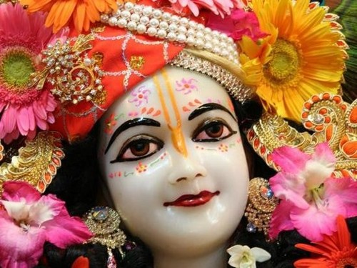 Subhashyadav15's profile picture. 