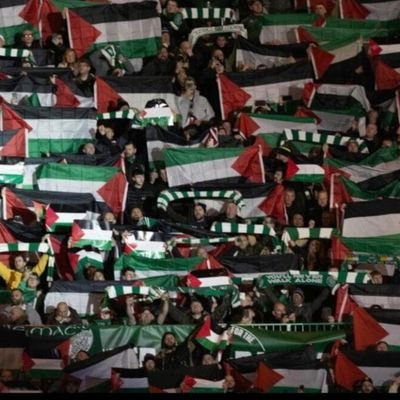 SilentP1888v2's profile picture. In our thousands, In our millions, we are all Palestinians.