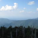 Renae Lewis - @lewis_renae - Twitter