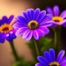 tamilselvan (@tamilse86829652) Twitter profile photo tamilselvan (@tamilse86829652) Twitter profile photo