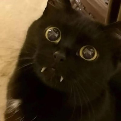 blasphoemeさんのプロフィール画像