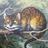YK425625's profile image