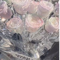 きゃび¨̮⃝3m🎀 (@cabi_0113) Twitter profile photo