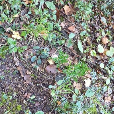 edouwhat's profile picture. .