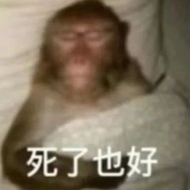 ZaiYou34822's profile picture. 0771贪玩鬼