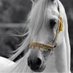 fahad (@fahad45207385) Twitter profile photo fahad (@fahad45207385) Twitter profile photo
