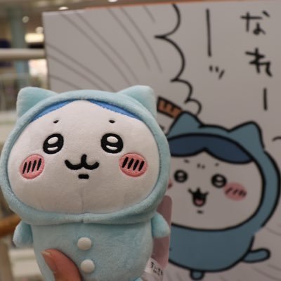 chiikawaaa_momo's profile picture. ちいかわ多めの推し垢＊ハチ推し♡ 仲良しさん募集中 25↑ 呼びタメ大歓迎 無言フォロー失礼します🙇‍♀️