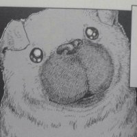 와일드安쓰 (@surfinlikeblues) 's Twitter Profile