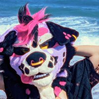 Saik∆ (@saikozza) 's Twitter Profile