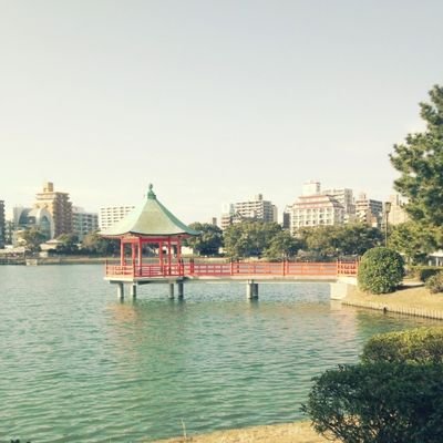 ソウル🇰🇷→大分→福岡に定着 マンションと旅行、そしてTeslaが好き、最近ウイスキー、日本酒、アメプラ始めました😆