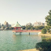 sunghyue (@sunghyue) Twitter profile photo