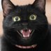 黒猫つくねちゃん太しっぽ (@oreo_blackcat) Twitter profile photo 黒猫つくねちゃん太しっぽ (@oreo_blackcat) Twitter profile photo