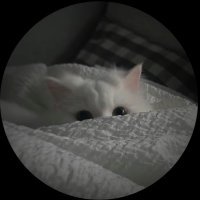 ʷᵈ (@_wd23) Twitter profile photo
