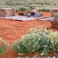 ‏أم عبد الرحمن ( رحمها الله).. (@mo_almalki1960) 's Twitter Profile Photo