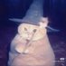 Kat(astrophe) (@kygoblin) Twitter profile photo Kat(astrophe) (@kygoblin) Twitter profile photo