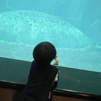 🥕まんぷく🥕 (@manpuku_deska) 's Twitter Profile Photo