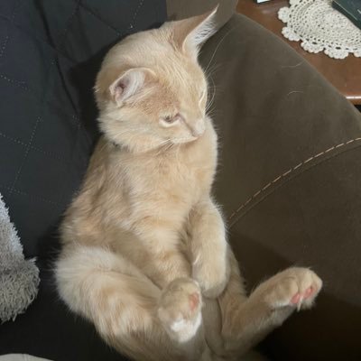 wBecomeTheMedia's profile picture. It is up to us! DO. NOT. COMPLY.