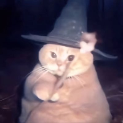 slapelooos's profile picture. emotionally unavailable °❀⋆.ೃ࿔*:･