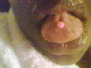 #TEAMBBW #TEAMTWITTERAFTERDARK #TEAMFREAK