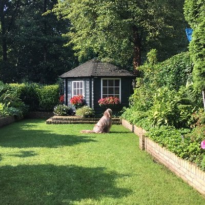 maronmaroon45's profile picture. 