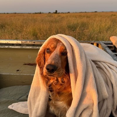 MsShyko's profile picture. "It is the weak who are cruel and once you recognize this truth you see it everywhere.  Gentleness and generosity are a condition of strength" Nietzsche