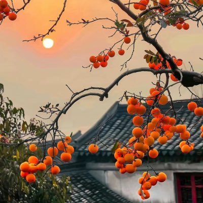 gongzi0789's profile picture. 