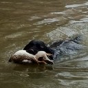 Chris Gann - @cgann21 - Twitter