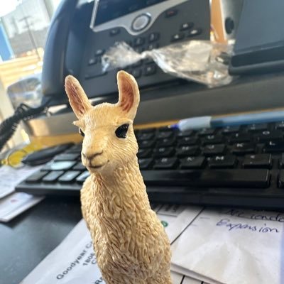 Mairii_Pappay's profile picture. Human -