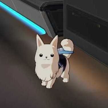 susumunone's profile picture. Hello〜❗️   よろしくお願いします👽𓄿