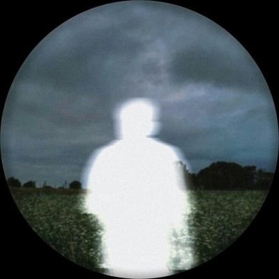 actuallyfallen's profile picture. The universe is too intelligent for that type of creation.