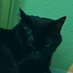 Ivy | arcane spoilers (@supposedly_ivy) Twitter profile photo Ivy | arcane spoilers (@supposedly_ivy) Twitter profile photo