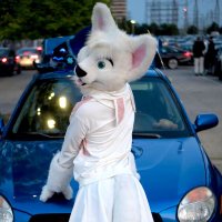 Sugar π FWA (@sugarisapuppy) 's Twitter Profile Photo Sugar π FWA (@sugarisapuppy) 's Twitter Profile Photo