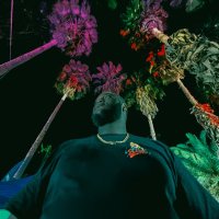 don ⚡️ (@pandadon__) 's Twitter Profile