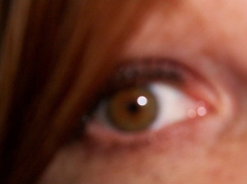 undominioned's profile picture. 