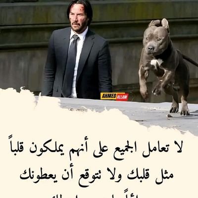 khelawy890's profile picture. ❤رؤوس الرجال لاتنحني الا لله🌷