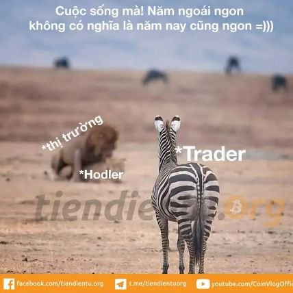 havanlinh's profile picture. #leverage #freelife