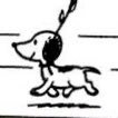 rafaa_21's profile picture. Físico por la US 🔭🎸