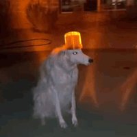 gabigln (@galangabriel06) 's Twitter Profile