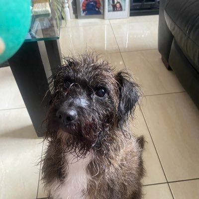 KilkennyGrace's profile picture. 