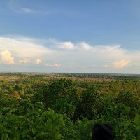 Aditya Roy (@adityar37983146) 's Twitter Profile
