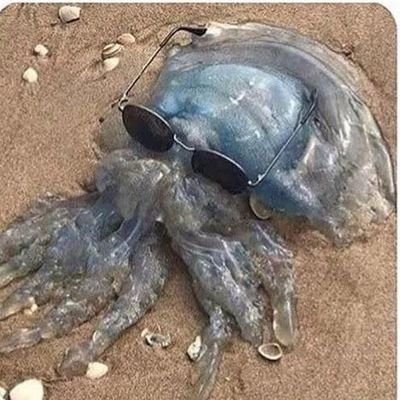 KraKenated's profile picture. 