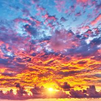 Silver UT (@silverincali) 's Twitter Profile Photo